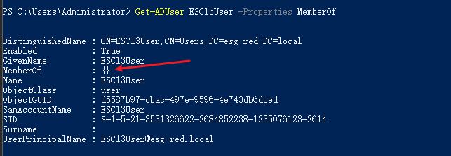 image-20240302144802852